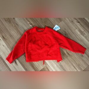 NWT! Target Future Collective Reese Blutstein Sweater 2X